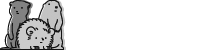특별한동물가게 속초점